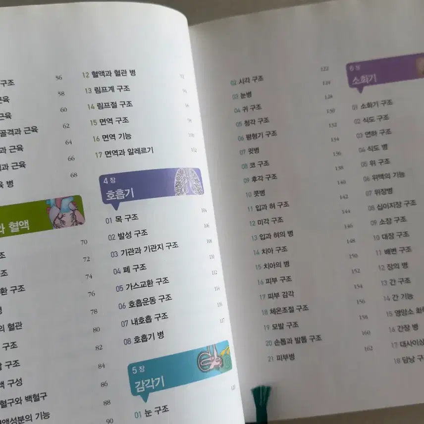 [BUNJANG] Anatomy Learning Illustrated Guide: Easy Understanding of the Human Body&