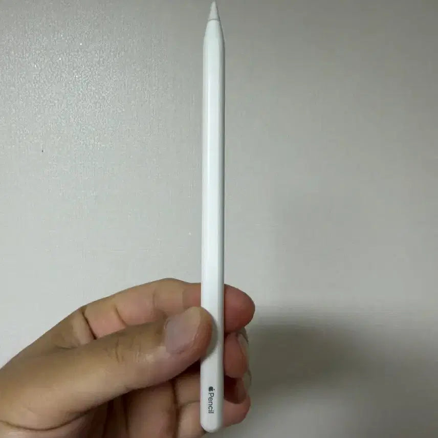 [BUNJANG] Apple Pencil 2nd Generation / 애플펜슬 2세대 정품