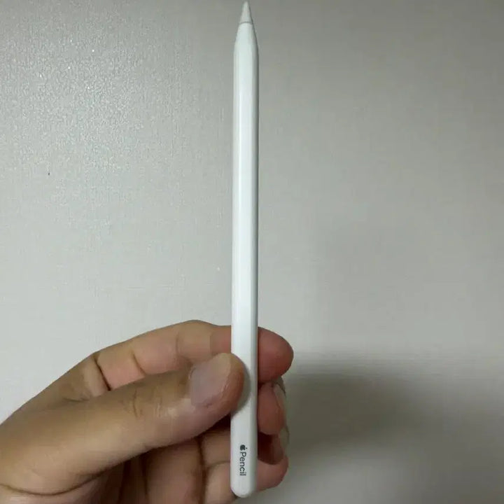 [BUNJANG] Apple Pencil 2nd Generation / 애플펜슬 2세대 정품