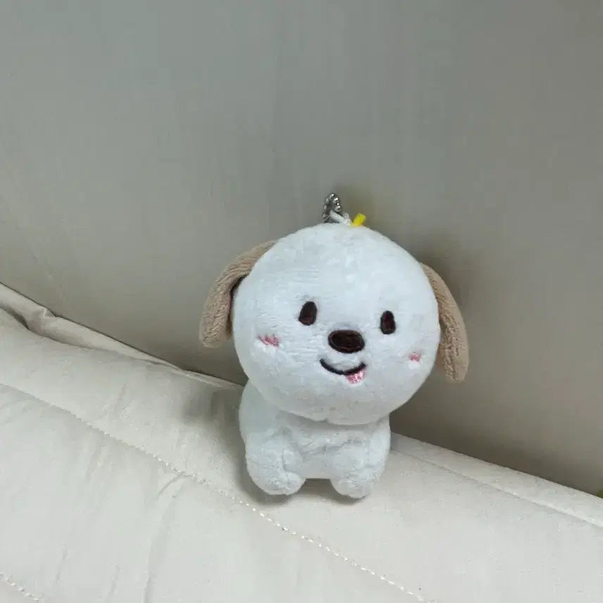 [SOLD OUT] 멍룡이