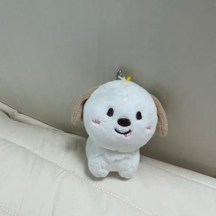 [SOLD OUT] 멍룡이