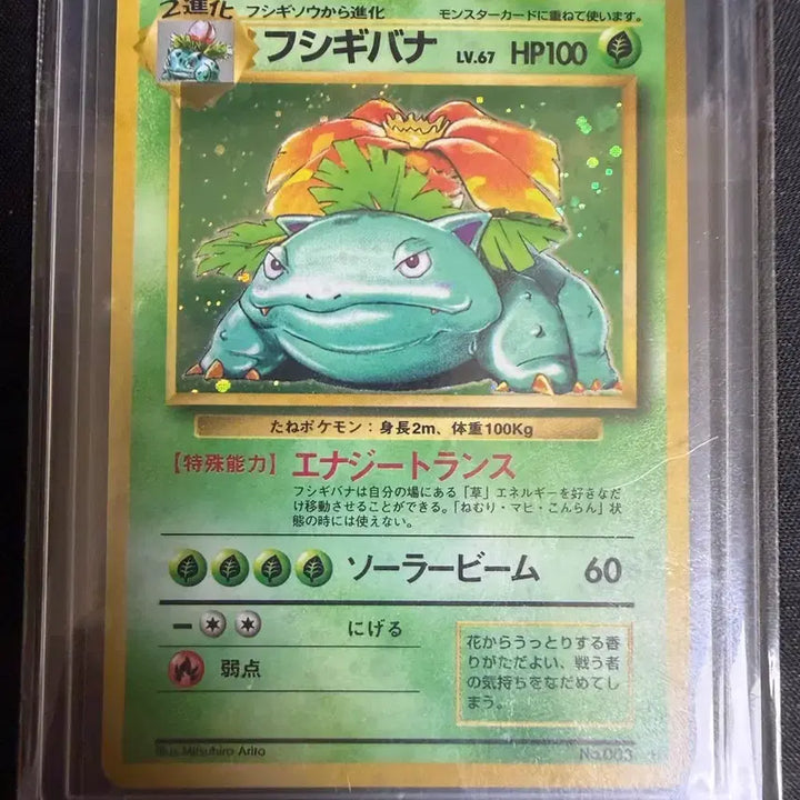 [BUNJANG] 1996 First Edition Japanese Venusaur (Excellent Condition) / 1996년도 초판 이상해꽃 일판 a급