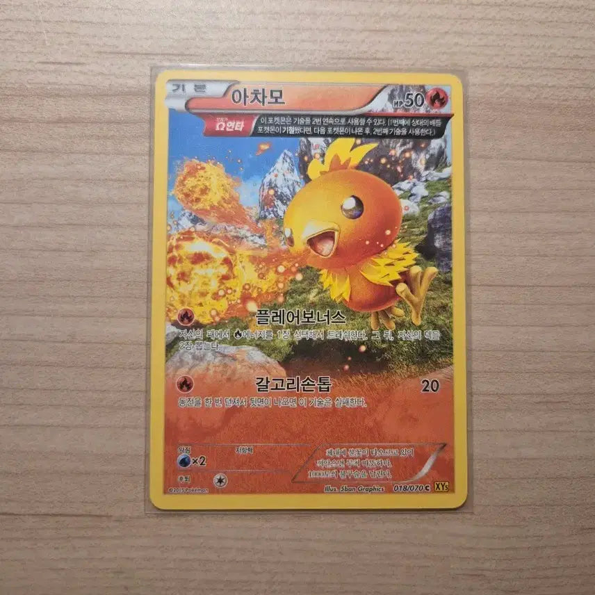 [BUNJANG] Pokémon TCG Torchic Full Art Card / 포켓몬카드 아차모 풀일러스트