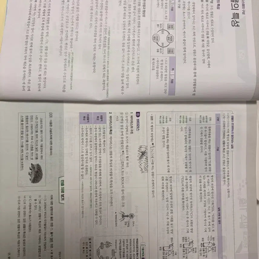 [BUNJANG] Wanja Gichulpick Life Science Textbook (2022 Edition) / 완자 기출픽 생명과학