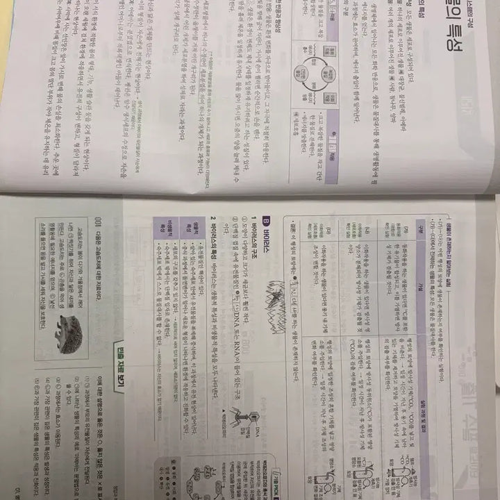 [BUNJANG] Wanja Gichulpick Life Science Textbook (2022 Edition) / 완자 기출픽 생명과학