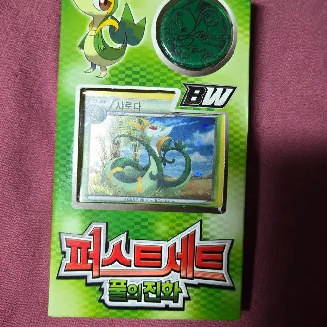 [BUNJANG] Pokemon Card BW First Set - Full Set / 포켓몬 카드 bw 퍼스트 세트 - 풀