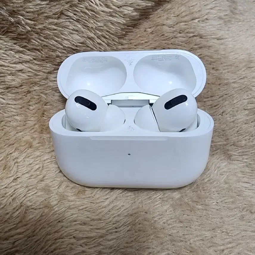 [BUNJANG] Apple AirPods Pro (1st generation) - Charging Case &amp; Earbuds / 에어팟 프로1 본체+양쪽유닛