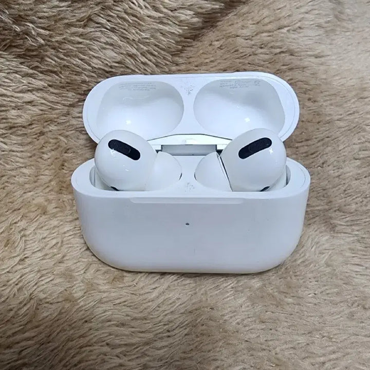 [BUNJANG] Apple AirPods Pro (1st generation) - Charging Case &amp; Earbuds / 에어팟 프로1 본체+양쪽유닛