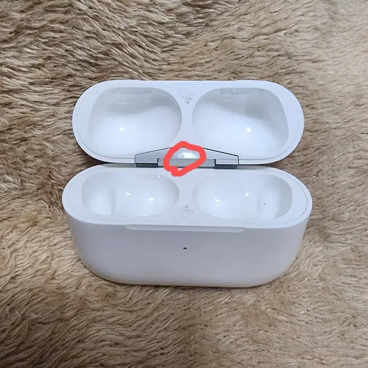[BUNJANG] Apple AirPods Pro (1st generation) - Charging Case &amp; Earbuds / 에어팟 프로1 본체+양쪽유닛