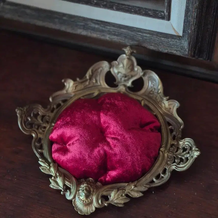 [BUNJANG] French Antique Object with Velvet and Brass Frame / 프랑스 앤틱 오브제
