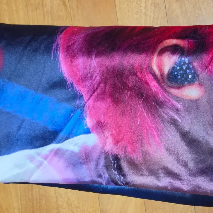 [BUNJANG] AKZIZ GAON JISEOK Photo Blanket / 엑디즈 가온 지석 포토담요