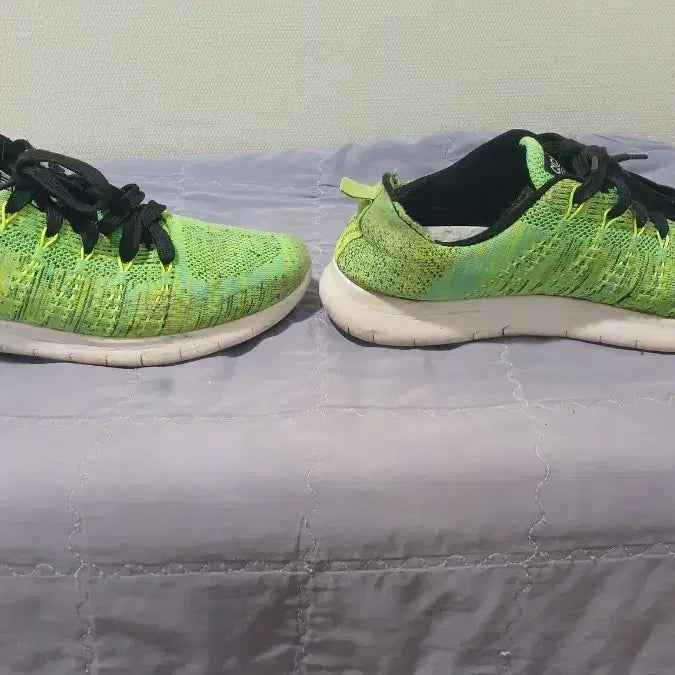 [BUNJANG] Greenfish Cloudwalk Ultra-Light Knit Running Shoes (270) / 그린피쉬 클라우드워크 초경량 니트 런닝화(270)