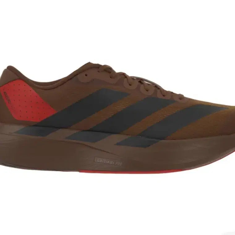 [BUNJANG] Adidas x Pharrell Williams Adizero EVO SL Pride Love Brown / 아디다스 x 퍼렐 윌리엄스 아디제로 EVO SL 프리러브드 브라운