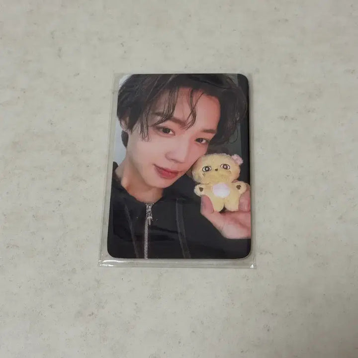 [BUNJANG] Park Jihoon So Simi Photocard / 박지훈 소심이 포카 포토카드