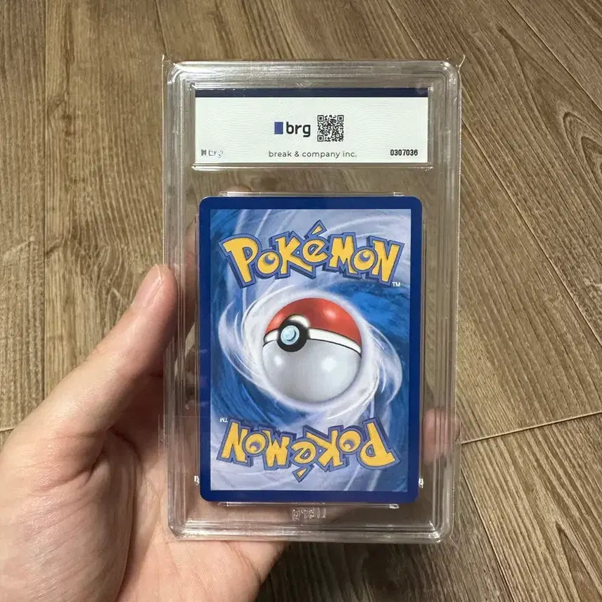 [BUNJANG] Mega Dragonite BRG10 Figure / 메가망나뇽 brg10 팝니다