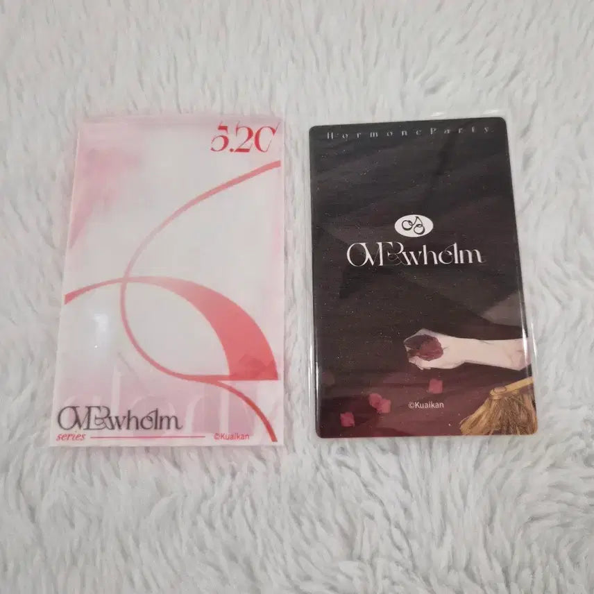 [BUNJANG] Smyrna &amp; Capri Photocard Holder / 스미르나앤카프리 포토카드 포카, 스앤카,오사형