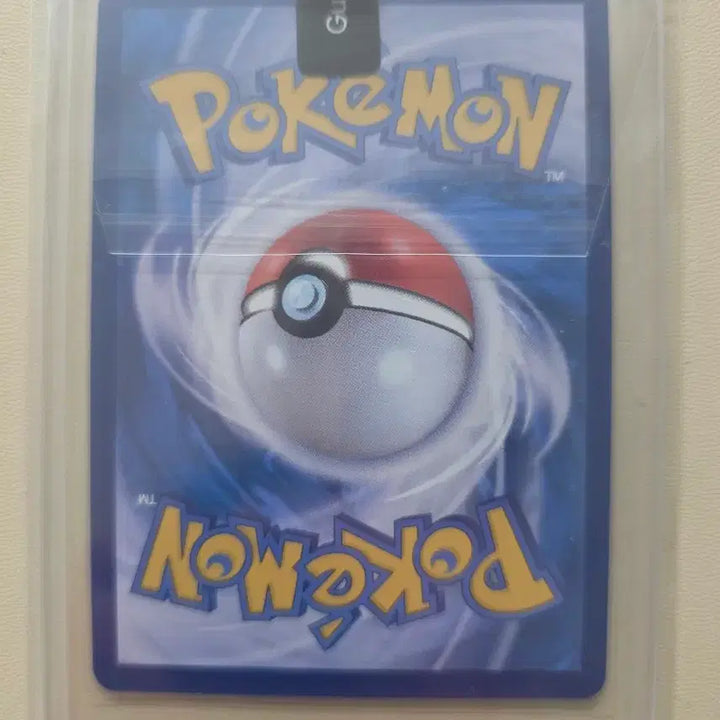 [BUNJANG] Mega Charizard SAR Card / 메가리자몽 sar