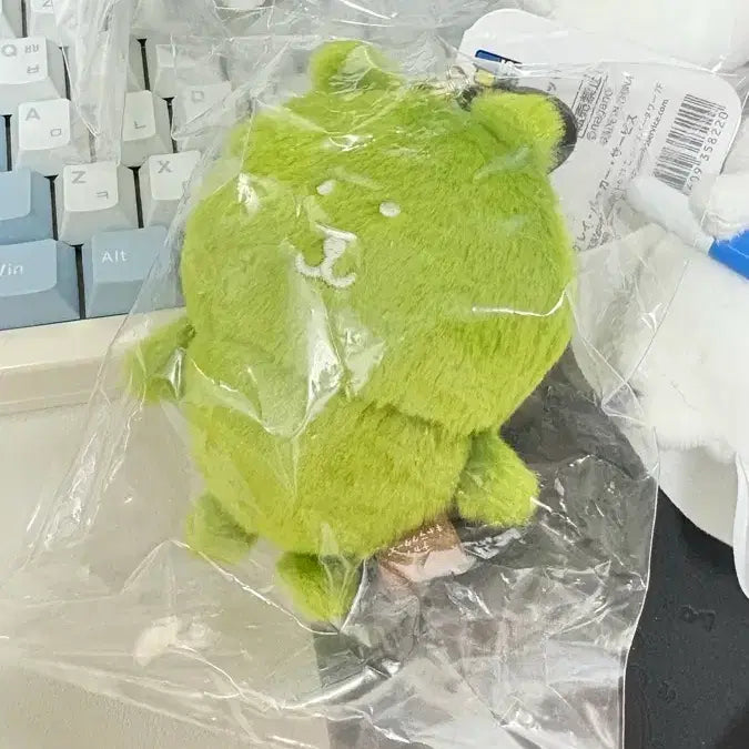 [BUNJANG] Malchagom Japanese Delivery Mascot / 말차곰 일본택 농담곰 마스코트