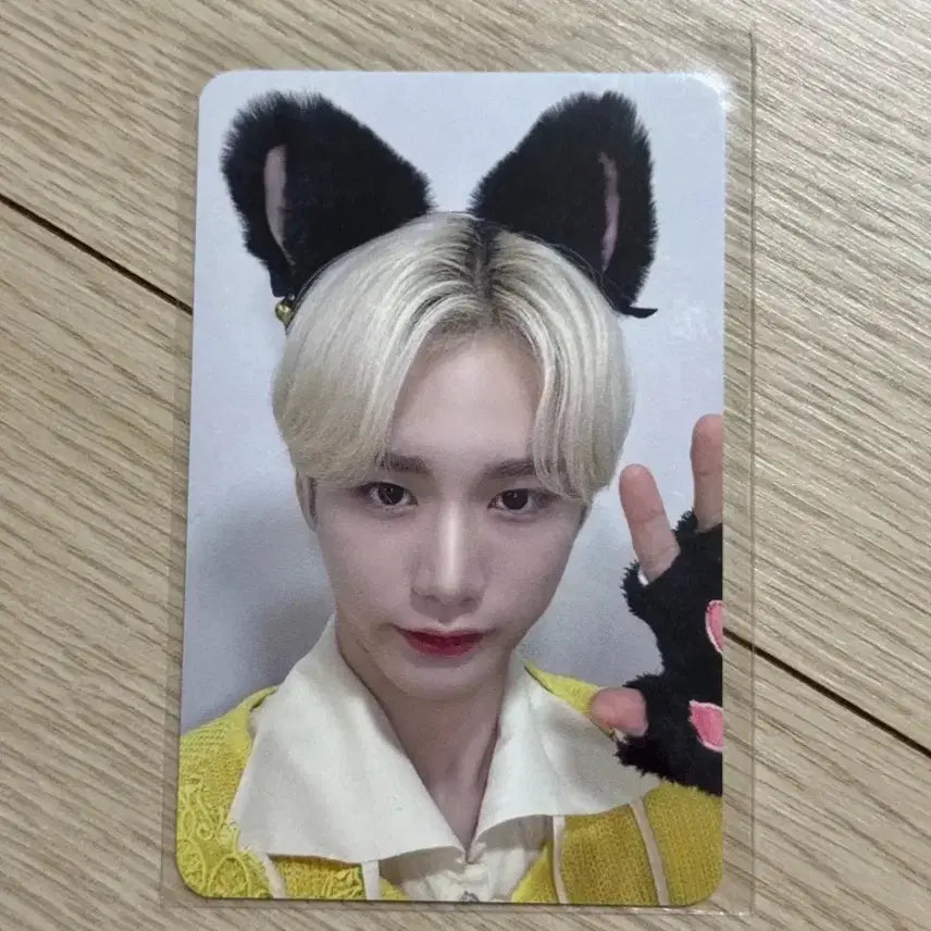 [BUNJANG] DARKSEVEN Rune AniLove Makestar POB Photocard / 다크비 룬 아닛럽 메이크스타 고양이 미공포 특전 포카