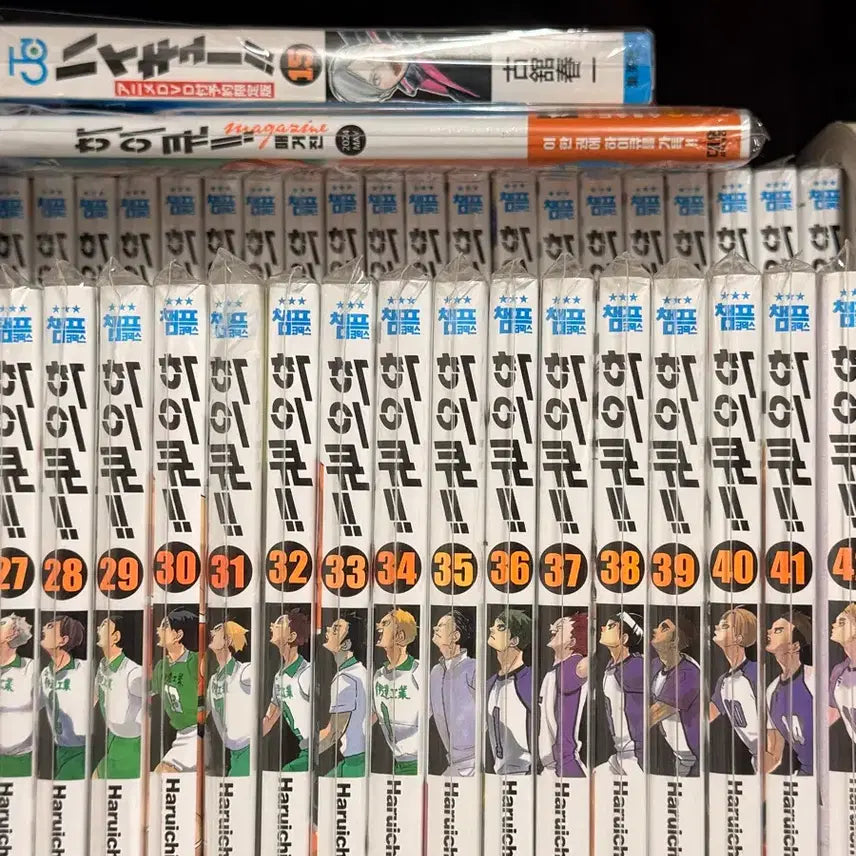 [BUNJANG] Haikyuu!! Complete Manga Set with DVD, Guidebooks, Magazine, and Trading Cards / 하이큐 만화책 전권+DVD+가이드북2종+매거진+바보카 급전판매입니다ㅠ