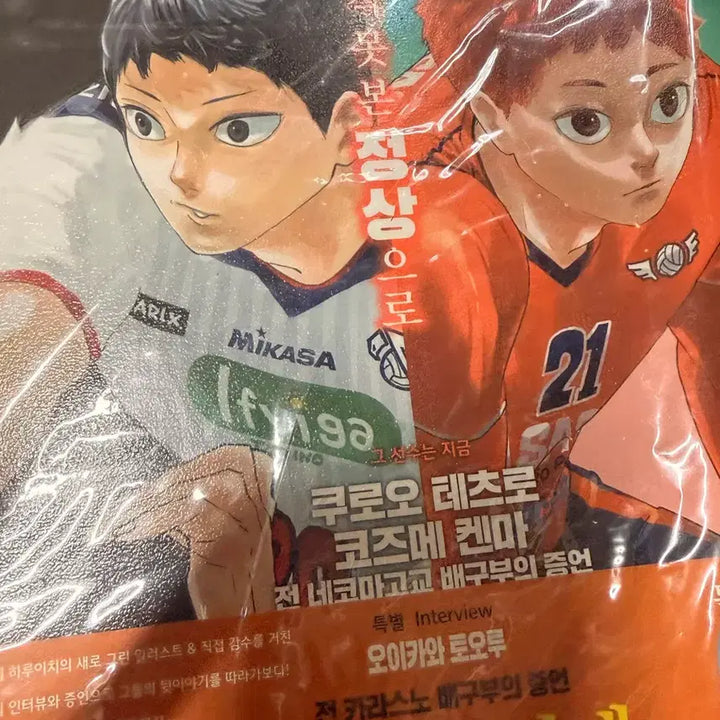 [BUNJANG] Haikyuu!! Complete Manga Set with DVD, Guidebooks, Magazine, and Trading Cards / 하이큐 만화책 전권+DVD+가이드북2종+매거진+바보카 급전판매입니다ㅠ