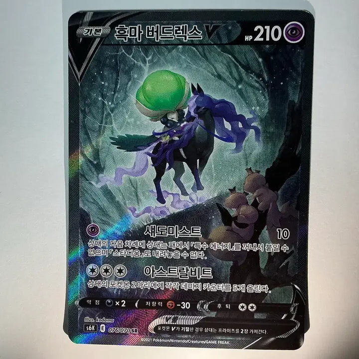 [BUNJANG] Pokemon Card Spectrier V SR / 포켓몬 카드 흑마 버드렉스 sr