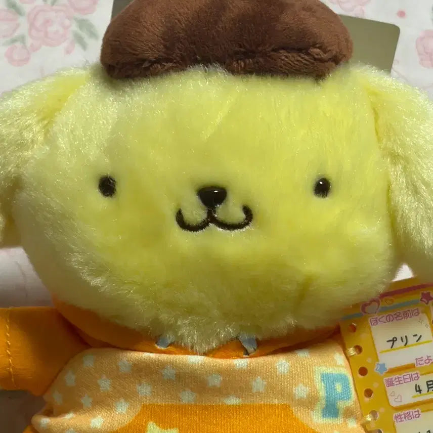 [BUNJANG] Sanrio Pompompurin Profile Mascot Doll Keyring / 산리오 폼폼푸린 프로필 마스코트 인형키링