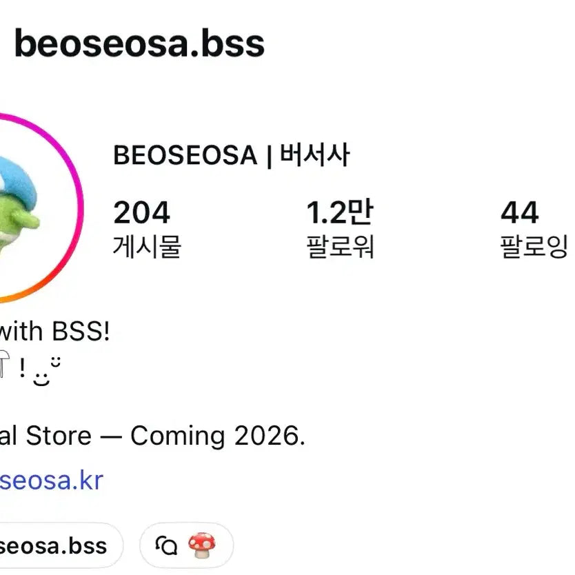 [BUNJANG] Bersa Artist Handmade Wool Felt Doll (Sealed) / (미개봉) 버서사 작가 수제 양모 펠트 인형