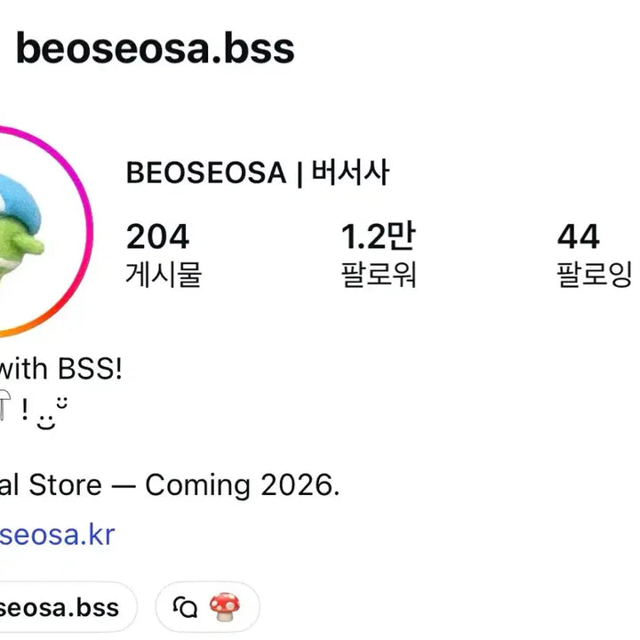 [BUNJANG] Bersa Artist Handmade Wool Felt Doll (Sealed) / (미개봉) 버서사 작가 수제 양모 펠트 인형