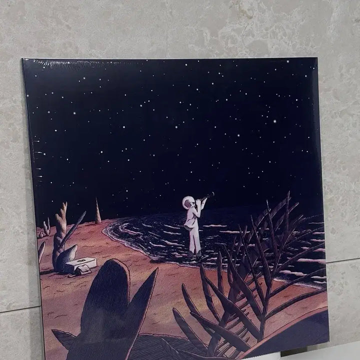 [BUNJANG] Lee Young-hoon The Picture I Sang 2 LP (Reissue Not Available) / 재발매x) 이영훈 내가 부른 그림2 lp  미개봉