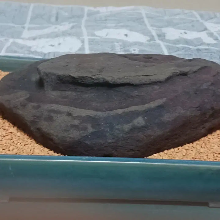 [BUNJANG] Seoseok Water-Holding Landscape Stone / 수석(해석/물고임)