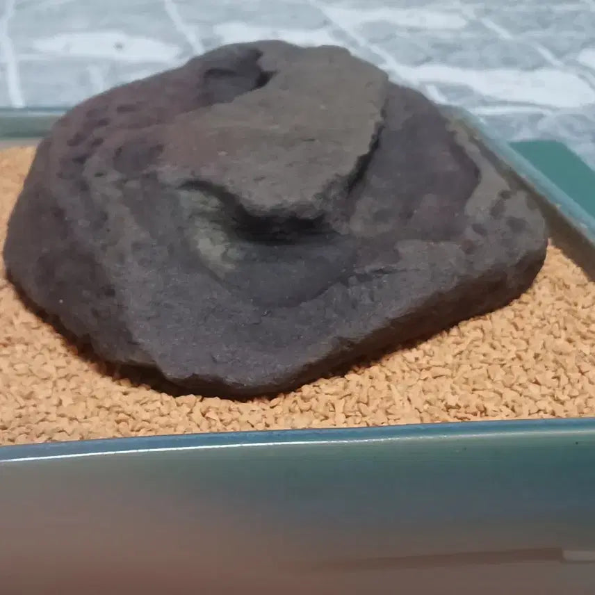 [BUNJANG] Seoseok Water-Holding Landscape Stone / 수석(해석/물고임)
