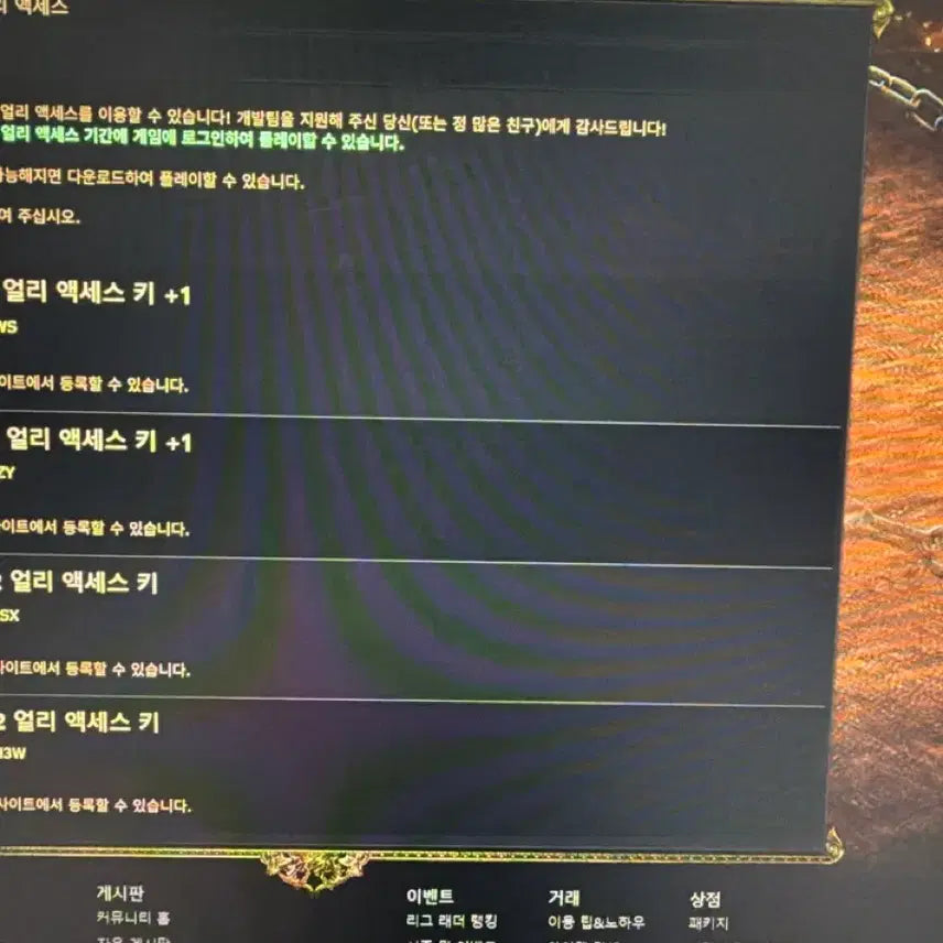 [BUNJANG] Path of Exile 2 Early Access Key / poe2 얼리억세스 키 팝니다