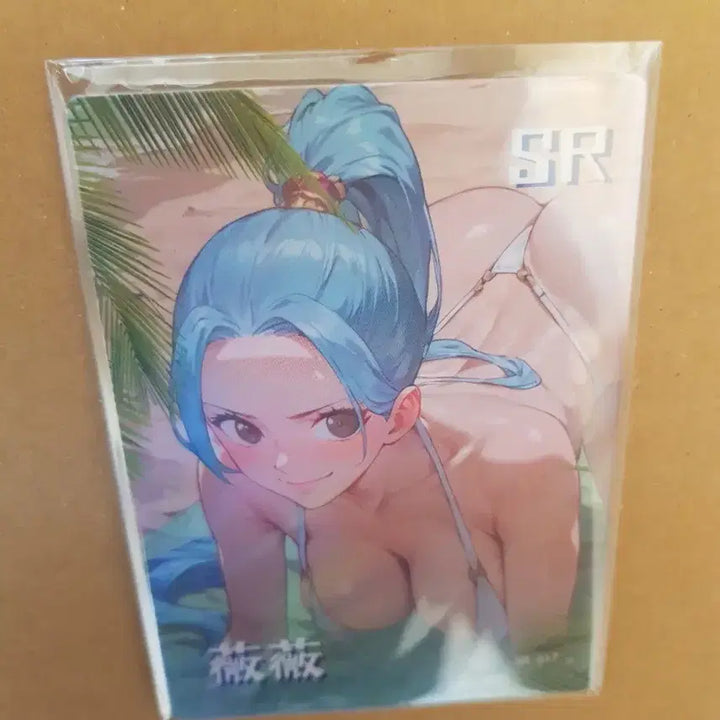 [BUNJANG] Nami One Piece Character Card / 비비 원피스 캐릭터 카드