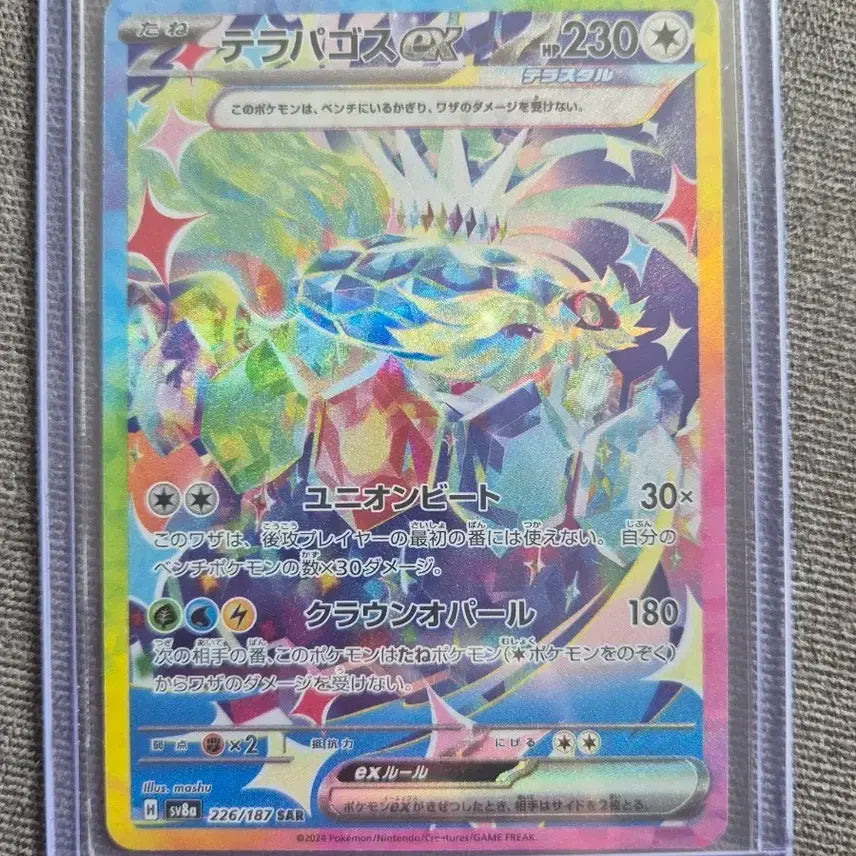 [BUNJANG] Pokemon Terapagos SAR Graded Card / 포켓몬 테라파고스 sar 등급용