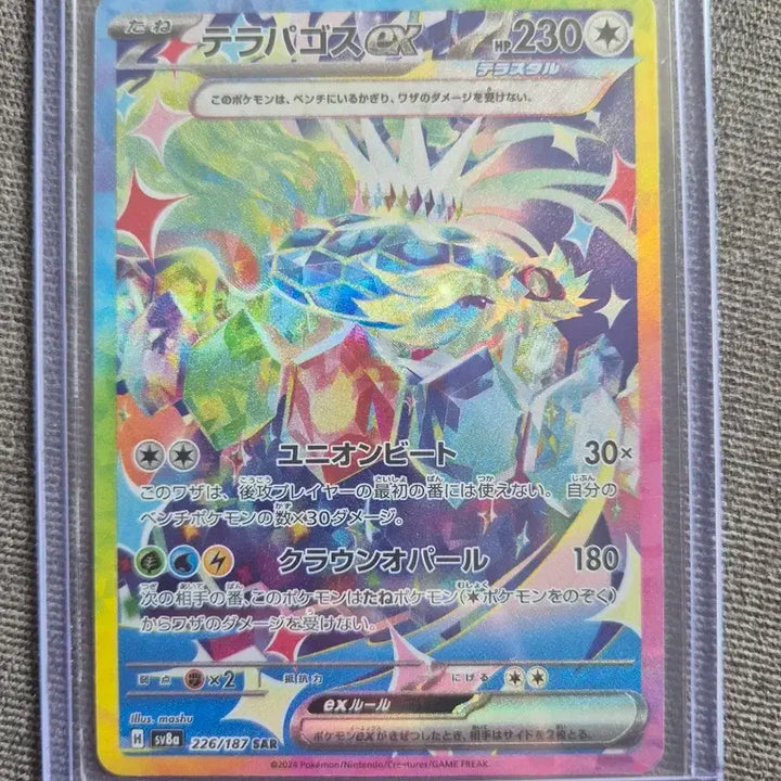[BUNJANG] Pokemon Terapagos SAR Graded Card / 포켓몬 테라파고스 sar 등급용