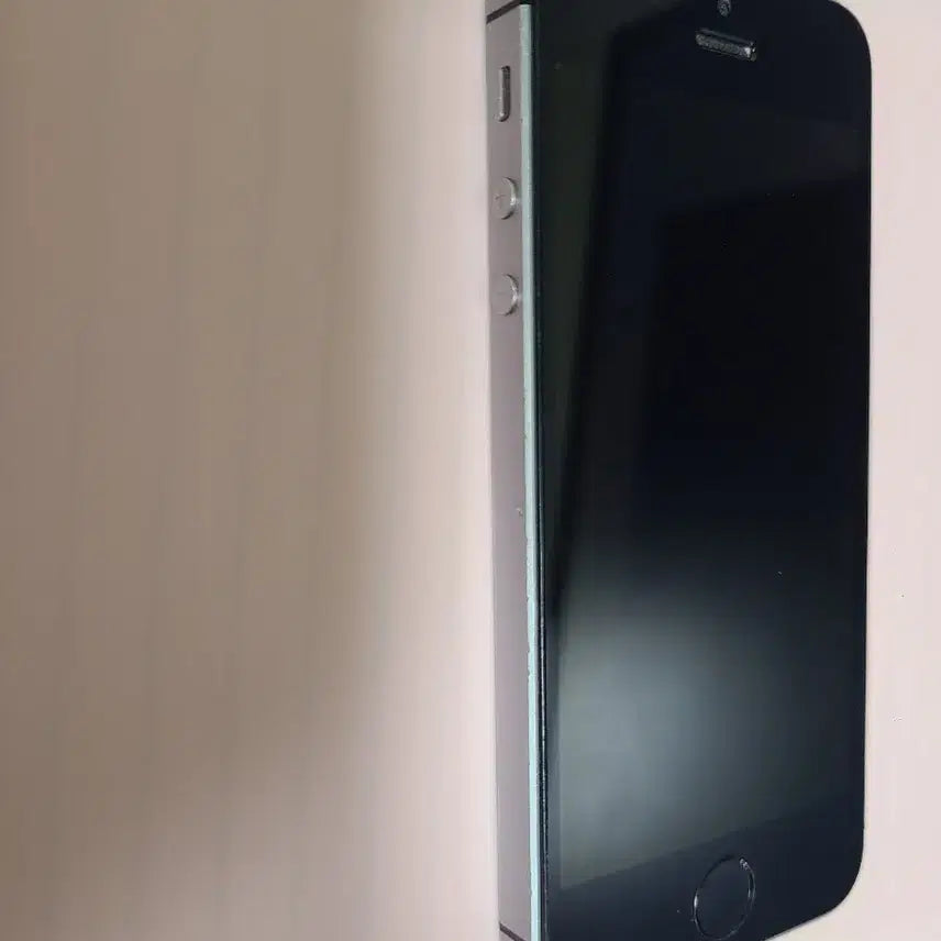 [BUNJANG] Apple iPhone SE (1st Gen) 64GB Space Gray Unlocked / 아이폰se 스그 64g 한국판 순정