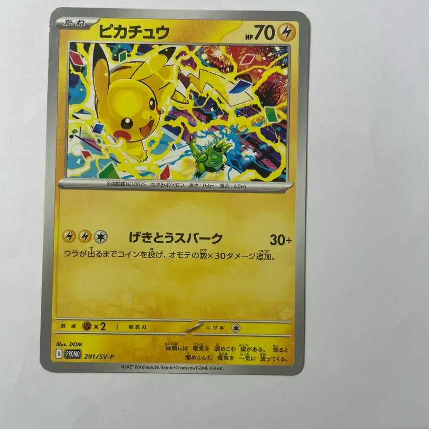 [BUNJANG] Pokemon Card 2024 Gym Promo Pikachu / 포켓몬 카드 짐프로모 피카츄 2024