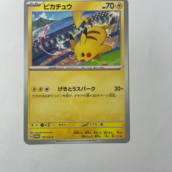 [BUNJANG] Pokemon Card Gym Promo Pikachu 2024 / 포켓몬 카드 짐프로모 피카츄 2024