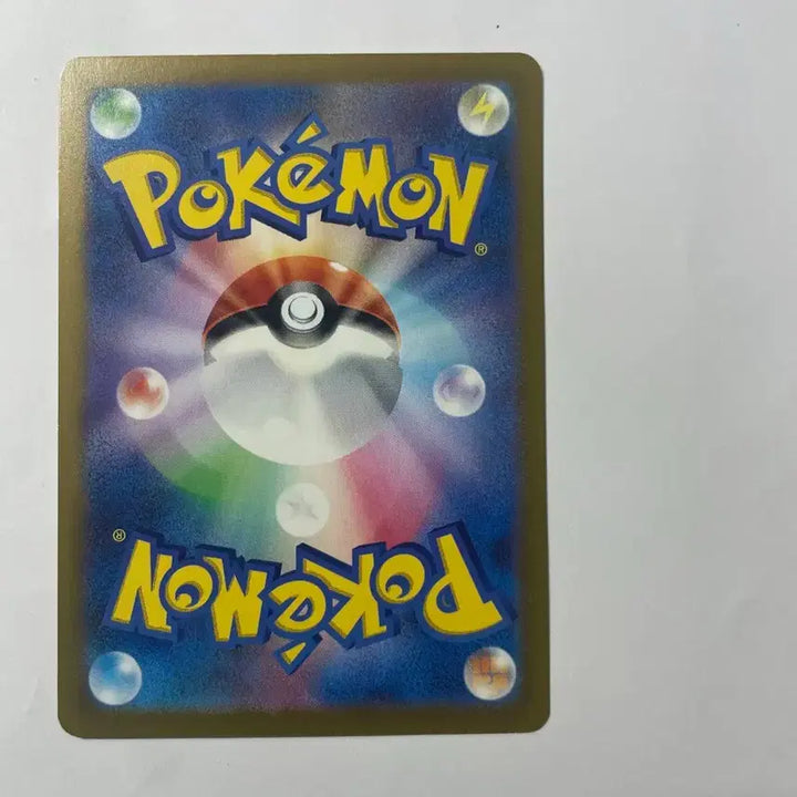 [BUNJANG] Pokemon Card Gym Promo Pikachu 2024 / 포켓몬 카드 짐프로모 피카츄 2024