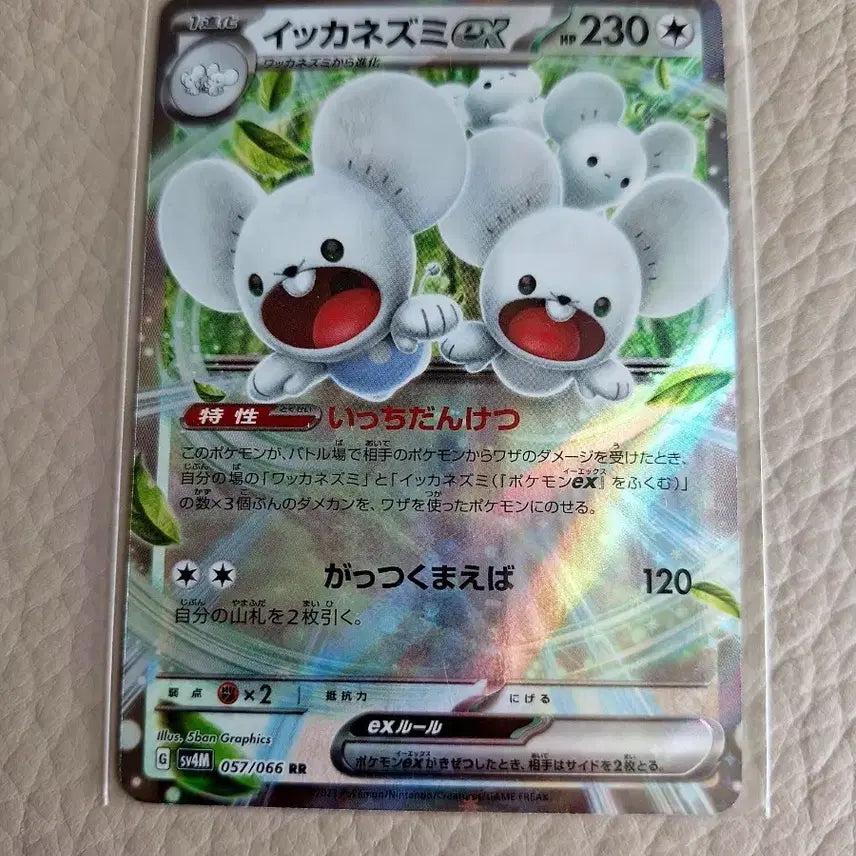 [BUNJANG] Pokemon Card Pawmot EX RR Japanese / 포켓몬 카드 두드리쥐 EX RR 일판