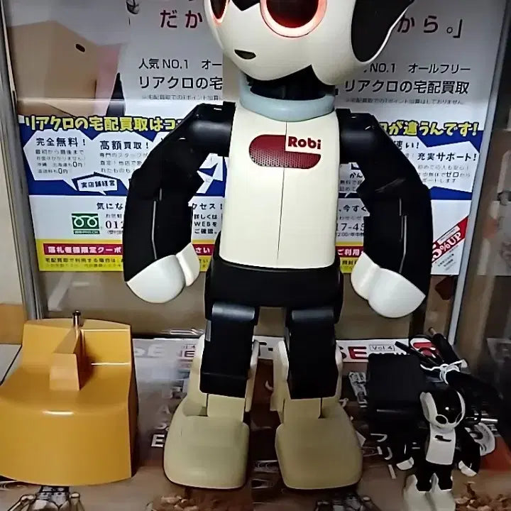 [BUNJANG] DeAgostini Robi Robot Assembly Manuals (Volumes 1-70) Bundle Set / 데아고스트니(로비)