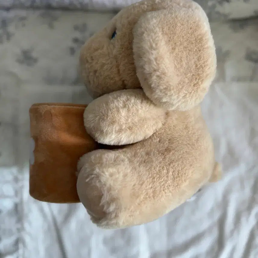 [BUNJANG] Bear Pencil Holder / 곰돌이 연필꽂이