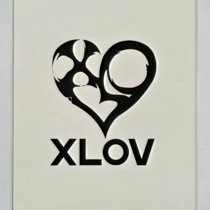 [BUNJANG] XLOV I&