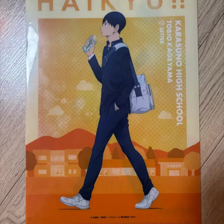 [BUNJANG] Haikyuu!! Karasuno High Hinata Kageyama A4 Clear File / 하이큐 카라스노 히나타 카게야마 A4 클리어 파일