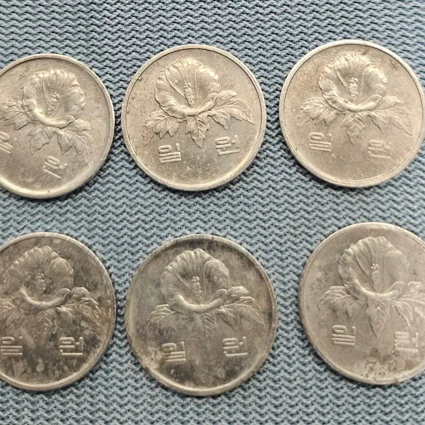 [BUNJANG] 1983 South Korean 1 Won Coins (Bundle of 6) / 1983년 1원 동전 6개 일괄