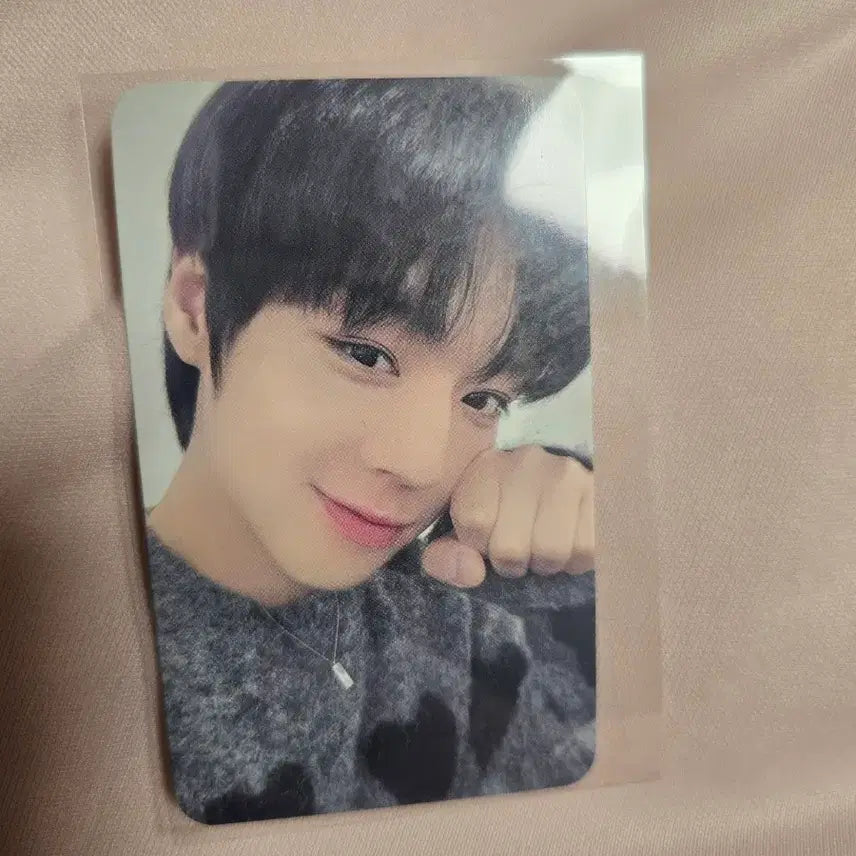 [BUNJANG] Park Jihoon 2023 Official Birthday Cafe Special Photocard Bundle Set / 박지훈 2023 공식 생일카페 특전 포카 일괄 생카 포토카드