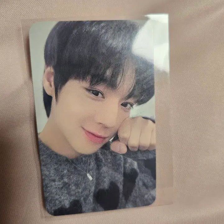 [BUNJANG] Park Jihoon 2023 Official Birthday Cafe Special Photocard Bundle Set / 박지훈 2023 공식 생일카페 특전 포카 일괄 생카 포토카드