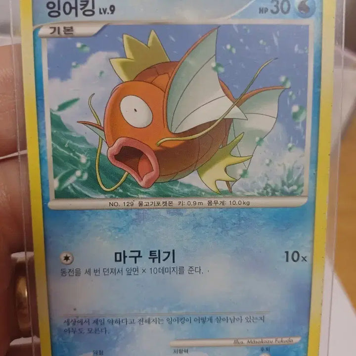 [BUNJANG] Pokemon Card Magikarp LV.9 19/55 / 포켓몬카드 잉어킹 LV.9 19/55