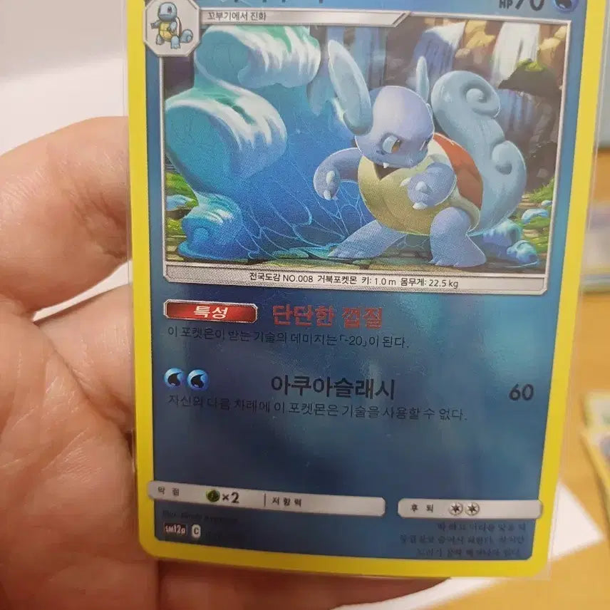 [BUNJANG] Pokemon Card Wartortle 70HP / 포켓몬카드 어니부기 70HP